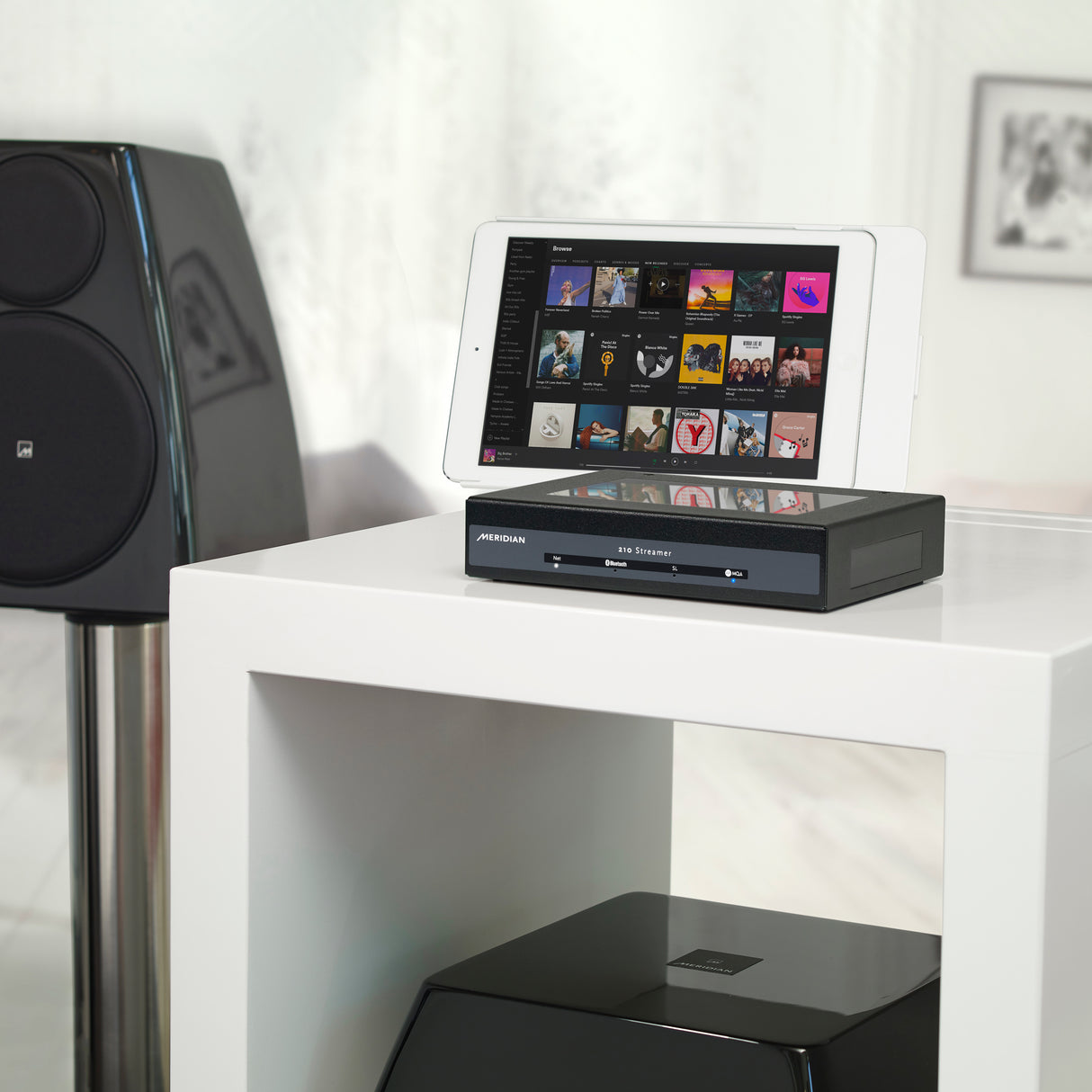 Meridian 210 Streamer