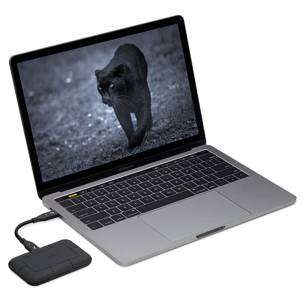 Rugged SSD Pro External Hard Drive