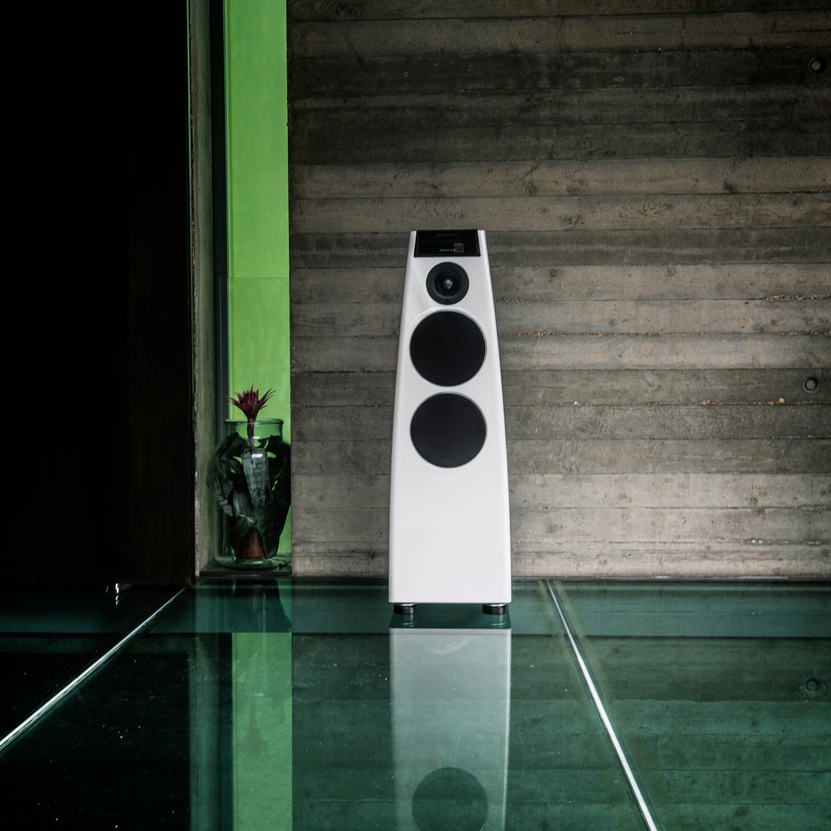Special Edition DSP5200 Digital Active Loudspeaker.