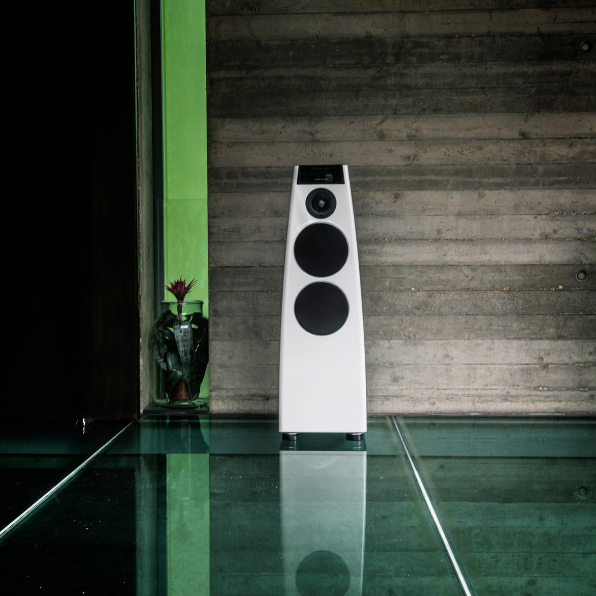 Special Edition DSP5200 Digital Active Loudspeaker.