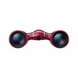 Nikon Aculon T02 10x21 Binoculars