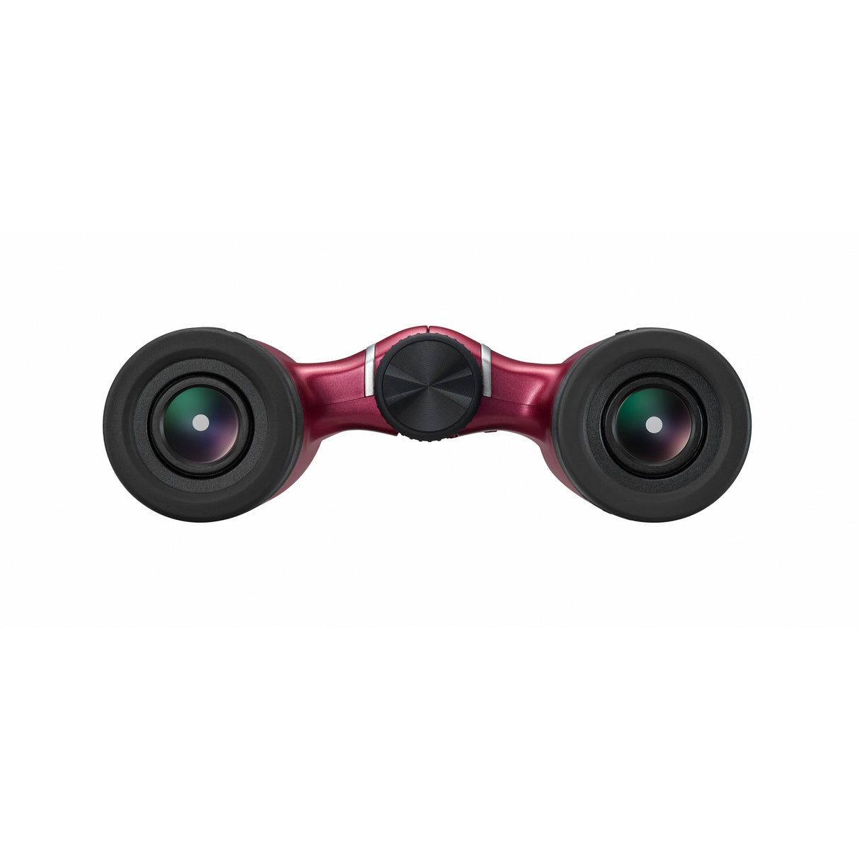 Nikon Aculon T02 10x21 Binoculars
